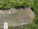 image of grave number 556932